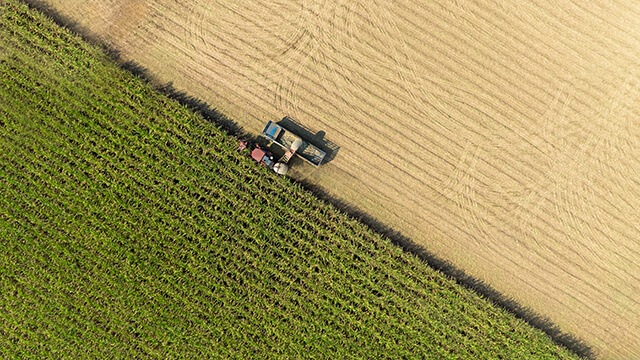 field-with-grass-agriculture