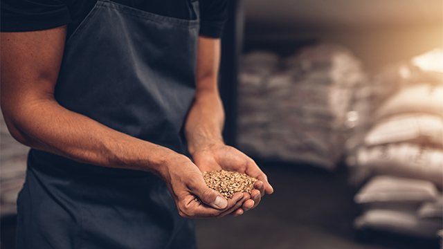 hands holding seeds