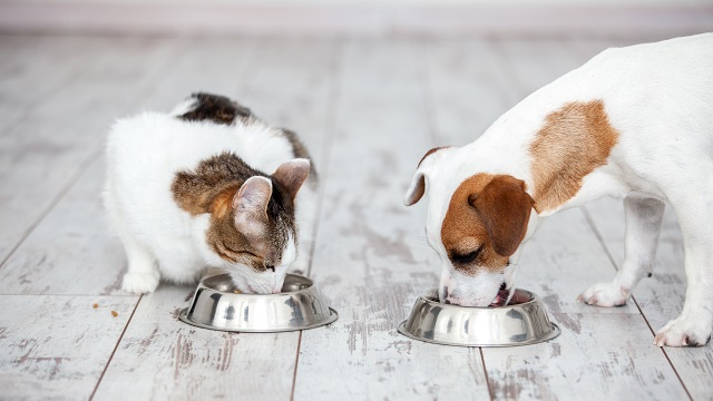 pet food fish processing 640x360