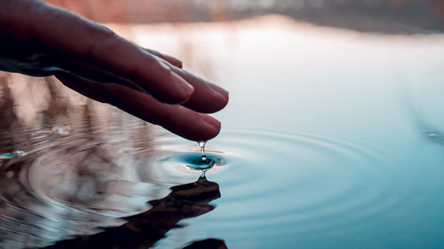 Sustainability business opportunities banner 640x360